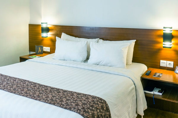 Safari experiences room 2